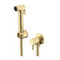 Brushed Brass bidet or douche spray