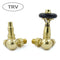 West Radiators Amberley Radiator Valve - Polished Brass | Plumbhub