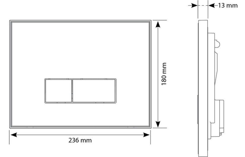 Toilet Flushplate