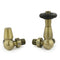 West Radiators Jaguar Radiator Valve - Antique Brass | Plumbhub