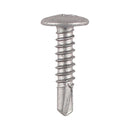 Screw