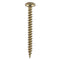 Screw