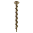 Screw