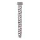 screws