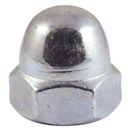 hex nut