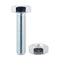 Hex Nut
