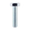 Hex Nut