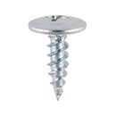 Screw